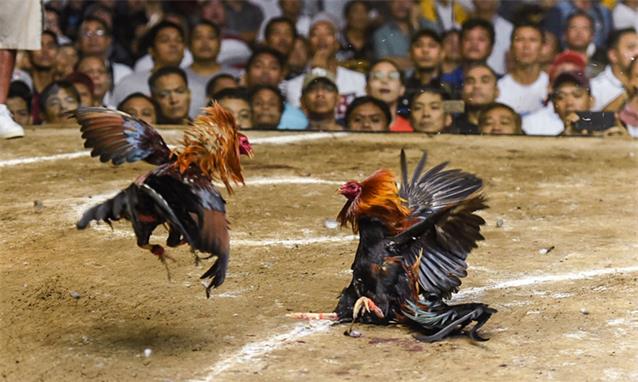 Giá bán: , Điện thoại: , 