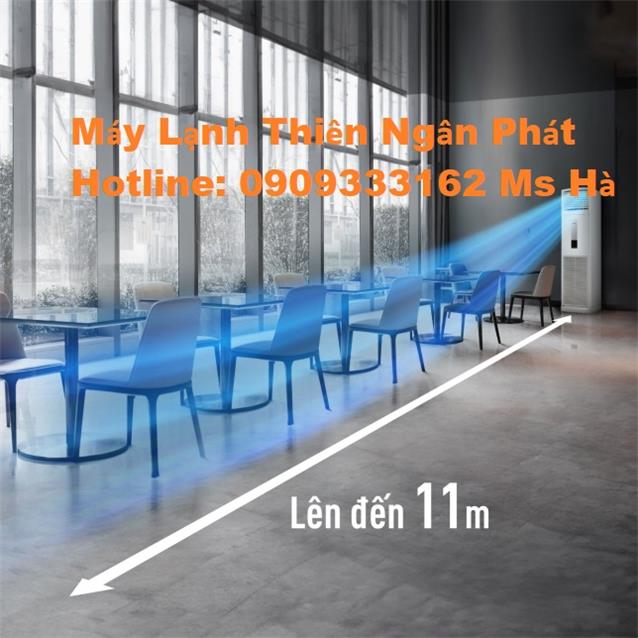Giá bán: 10,000,000, Điện thoại: 0909333162, binhrom20511@gmail.com